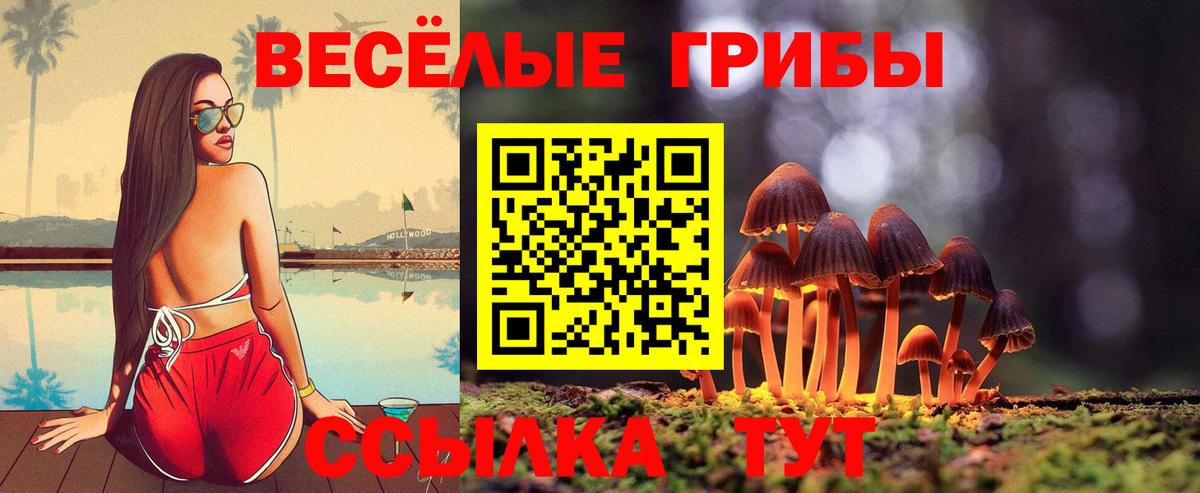 Лабинск  Псилоцибиновые грибы мицелий  Вход с VPN 