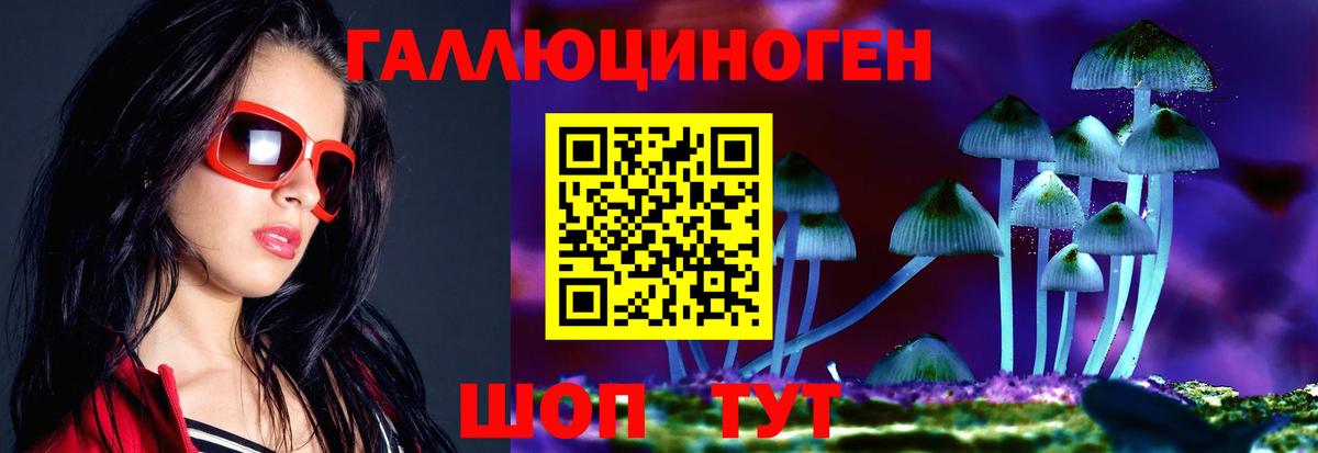 Галлюциногенные грибы Psilocybine cubensis Лабинск
